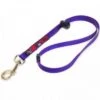 Blackdog Grooming Loop 45cm 1 Blackdog Grooming Loop 45cm -Pet Supplies Store BD GL