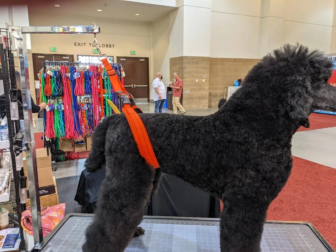 GroomTech Biothane Belly Strap Set - Teal 5 GroomTech Biothane Belly Strap Set - Teal - Image 3