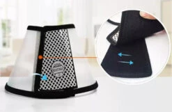 Groomtech Elizabethan Collar #6, Neck Circum 29-37m, Depth 18cm -Pet Supplies Store GT ECA06 3