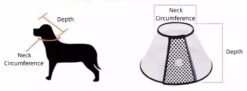 Groomtech Elizabethan Collar #9, Neck Circum 42-50cm, Depth 28cm -Pet Supplies Store GT ECA09 2