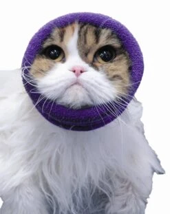 Happy Hoodie Pink, X-Small -Pet Supplies Store HH 00 PK 9