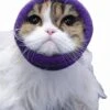 Happy Hoodie Purple, X-Small -Pet Supplies Store HH 00 PP