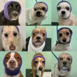 Happy Hoodie Purple, X-Small -Pet Supplies Store HH 00 PP 2