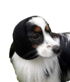 Happy Hoodie Purple, X-Small -Pet Supplies Store HH 00 PP 3