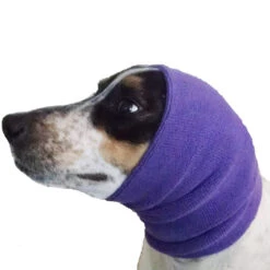 Happy Hoodie Purple, Pack Of 2 -Pet Supplies Store HH 01 PP 4