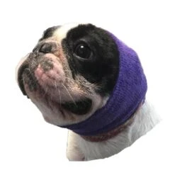 Happy Hoodie Purple, Pack Of 2 -Pet Supplies Store HH 01 PP 5