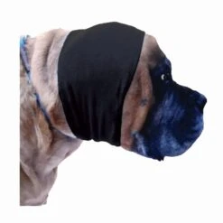 Happy Hoodie Black, X-Large -Pet Supplies Store HH 02 BK 3