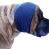 Happy Hoodie Blue, X-Large 1 Happy Hoodie Blue, X-Large -Pet Supplies Store HH 02 BU