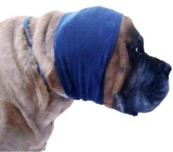 Happy Hoodie Blue, X-Large