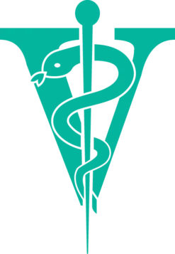 Joyzze Hornet Mini Trimmer 2 Speed [Teal] -Pet Supplies Store JY 99027 8