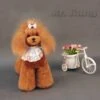 Mr. Jiang Teddy Bear Full Body Coat / Model Dog [Brown] -Pet Supplies Store MJ TB02B