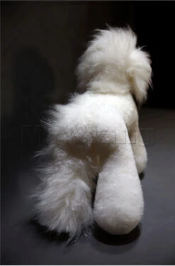 Mr. Jiang Teddy Bear Full Body Coat / Model Dog [White] -Pet Supplies Store MJ TB02W 8