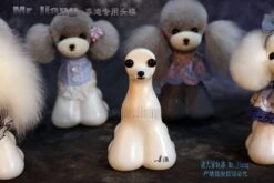 Mr. Jiang Teddy Bear Head Mannequin / Model Dog -Pet Supplies Store MJ TB03 4