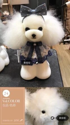Mr. Jiang Teddy Bear Head Hair / Model Dog [White] -Pet Supplies Store MJ TB04W 4