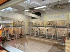 Smart Dog Cabin M01 Pro 21 Smart Dog Cabin M01 Pro -Pet Supplies Store PI M01Pro