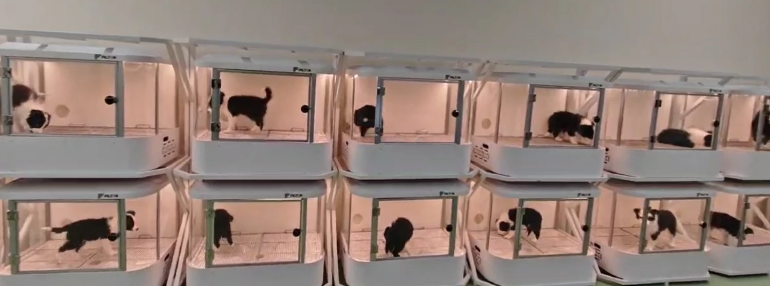 Smart Dog Cabin M01 Pro 10 Smart Dog Cabin M01 Pro - Image 8