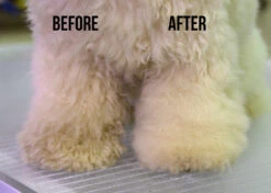 Show Tech Dry Shampoo 100g -Pet Supplies Store ST 90021 3