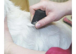 Show Tech Stripping Stone 9x6x2.5cm -Pet Supplies Store ST 90070 1