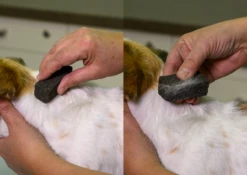 Show Tech Stripping Stone 9x6x2.5cm -Pet Supplies Store ST 90070 2