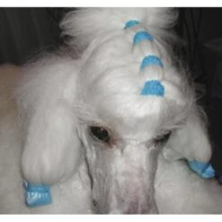 Show Tech Latex Bands Neon 1000pcs -Pet Supplies Store ST 90998 2