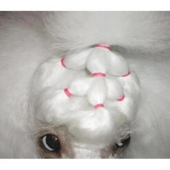 Show Tech Latex Bands Neon 1000pcs -Pet Supplies Store ST 90998 3