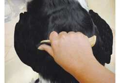 Show Tech Ultra Pro Set Of 4 Stripping Knife -Pet Supplies Store ST 93581 6