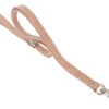 Show Tech Grooming Noose Rose Gold 60cm X 1cm -Pet Supplies Store ST 94713