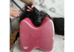 Show Tech Topknot Cushion Pillow Glitzy Red - Large -Pet Supplies Store ST 94913 2