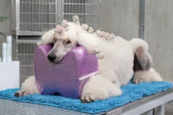 Show Tech Topknot Cushion Pillow Glitzy Purple - Medium 8 Show Tech Topknot Cushion Pillow Glitzy Purple - Medium -Pet Supplies Store ST 94915 2