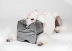 Show Tech Topknot Cushion Pillow Glitzy Black - Medium -Pet Supplies Store ST 94918 3