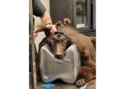 Show Tech Topknot Cushion Pillow Glitzy Black - Medium -Pet Supplies Store ST 94918 5