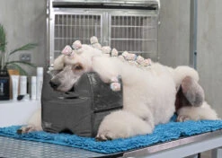 Show Tech Topknot Cushion Pillow Glitzy Black - Large -Pet Supplies Store ST 94919 4