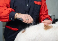 Show Tech Comfy Stripping Stick 13mm Double Sided 8 Show Tech Comfy Stripping Stick 13mm Double Sided -Pet Supplies Store ST 95086 2