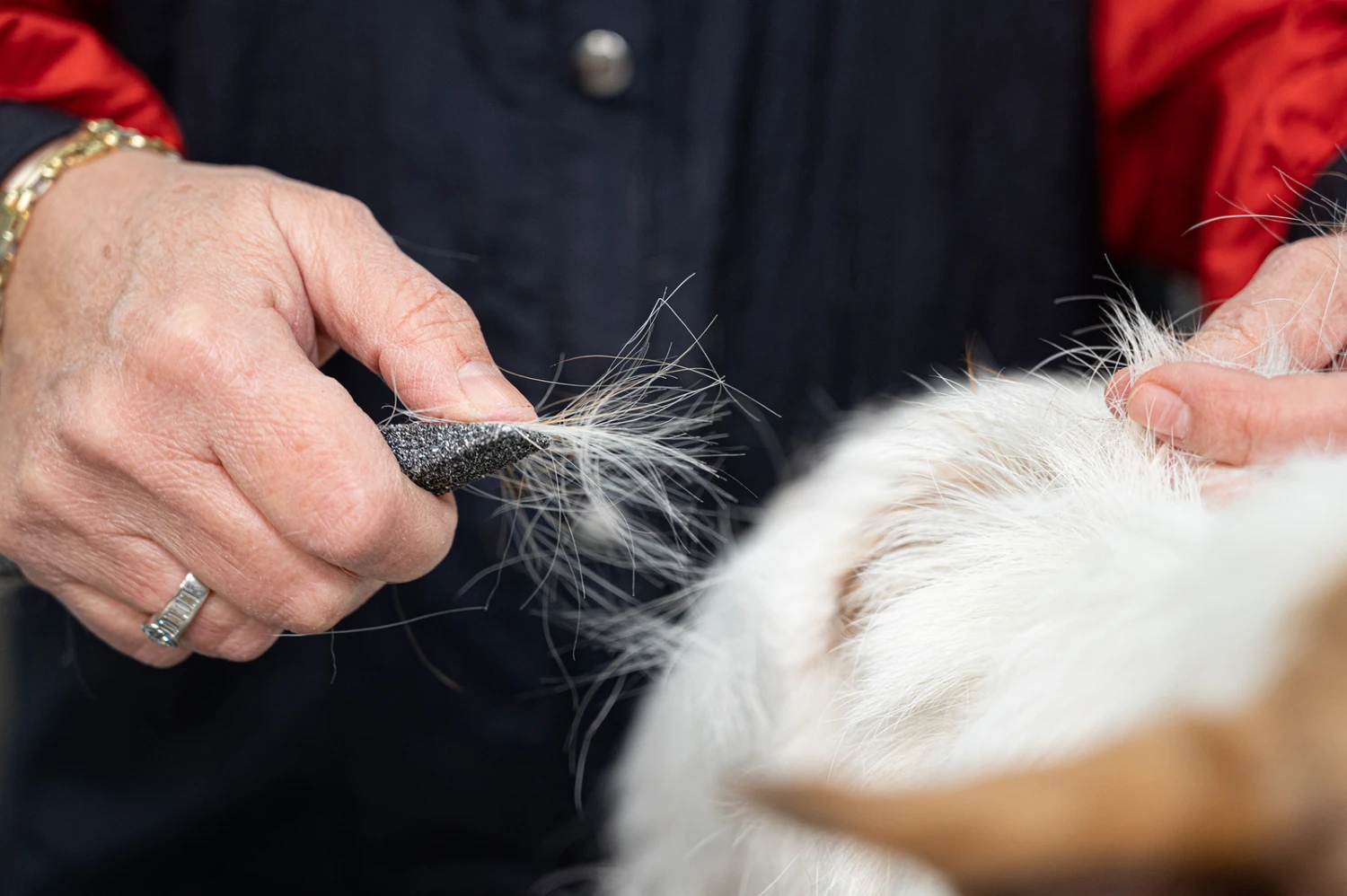 Show Tech Comfy Stripping Stick 13mm Double Sided 6 Show Tech Comfy Stripping Stick 13mm Double Sided - Image 4