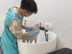 Aeolus Acrylic Bathing Tub With Faucet And Sprayer Kit - Free Booster -Pet Supplies Store T BTF1200DB 3