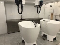 Aeolus Acrylic Bathing Tub With Faucet And Sprayer Kit - Free Booster -Pet Supplies Store T BTF1200DB 5