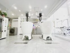 Aeolus Acrylic Bathing Tub With Faucet And Sprayer Kit - Free Booster -Pet Supplies Store T BTF1200DB 6