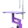 Aeolus Classic Z Shape Electric Lifting Table - Medium [Purple] -Pet Supplies Store T FT802E PP