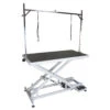 Aeolus Low-Low Electric Lifting Table -Pet Supplies Store T FT808