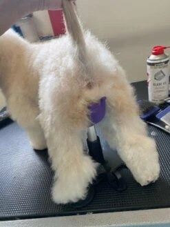 Aeolus Dog Grooming Stand / Saddle For Holding Dogs -Pet Supplies Store T FT8108SD S 5