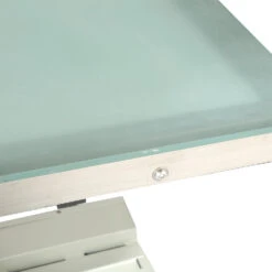 Aeolus Electric Lifting Table With LED Light -Pet Supplies Store T FT829 2