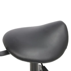 Groomer's Saddle Stool With Back Rest (Black) -Pet Supplies Store T GC010 2
