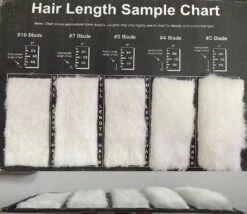 Aeolus Hair Length Sample / Clip Chart
