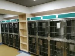 Aeolus KA509T Stainless Steel Modular Cage (2019 Model) [Design 4] -Pet Supplies Store T KA509TD4 7