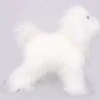KissGrooming Teddy Bear Coat For Model Dog Mannequin [White] -Pet Supplies Store T RMD22B1