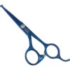 Swan Facial Scissors Round Tip 4.5" [Blue] -Pet Supplies Store T SW54145