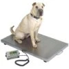 Stainless Steel Walk On Animal Scale [Medium] -Pet Supplies Store T WOS3624