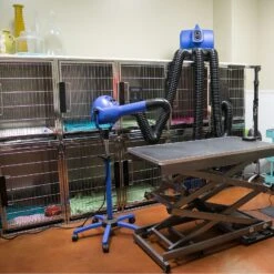 XPower Pro Finishing Plus Anionic Stand Dryer B18 14 XPower Pro Finishing Plus Anionic Stand Dryer B18 -Pet Supplies Store XP B18 5