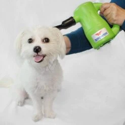 XPower Airrow Pro Dryer Air Pump Duster Blower B53 [Green] -Pet Supplies Store XP B53 GR 4